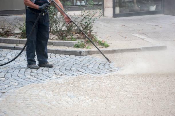 Professional Pressure Washing Services in Coaldale, PA